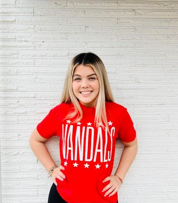 Vandal Star Tee