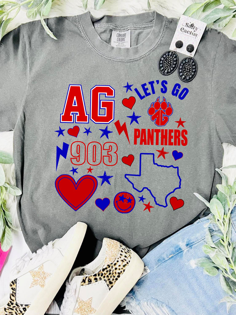 *DTF* Let's Go Alba Golden Panthers Grey CC Tee